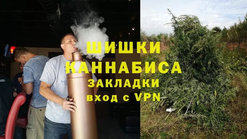 магазин  наркотиков  Котельниково  Бошки марихуана SATIVA & INDICA 